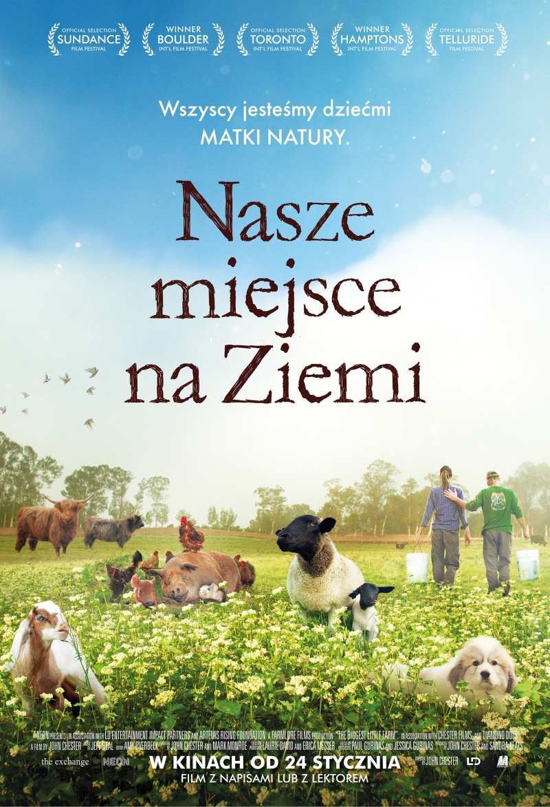 Nasze miejsce na Ziemi