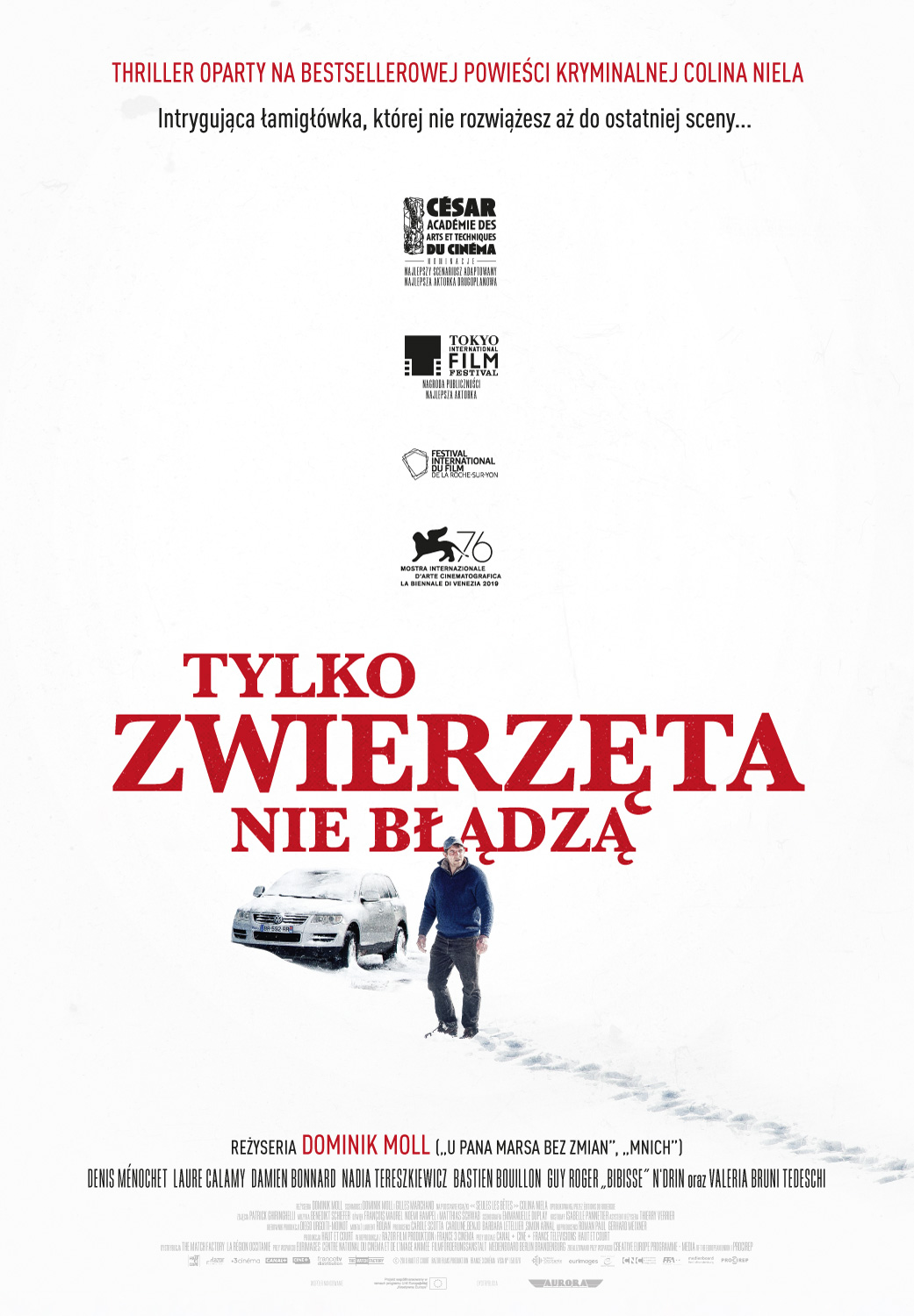 Tylko zwierzęta nie błądzą