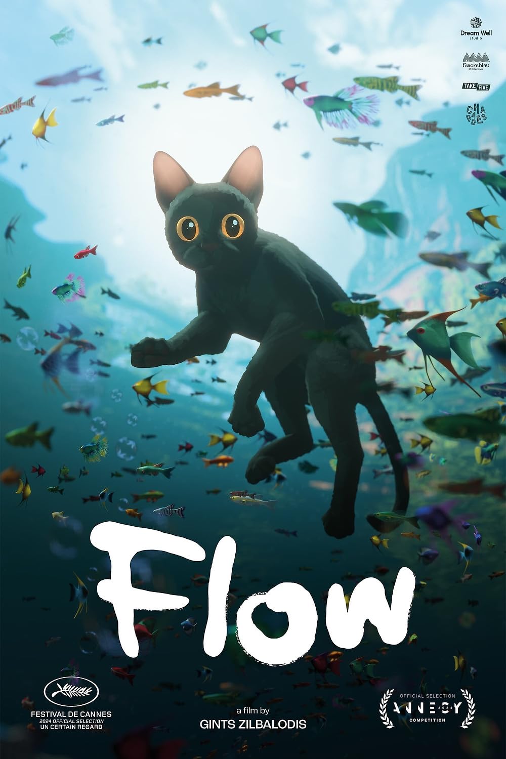 DKF: Flow