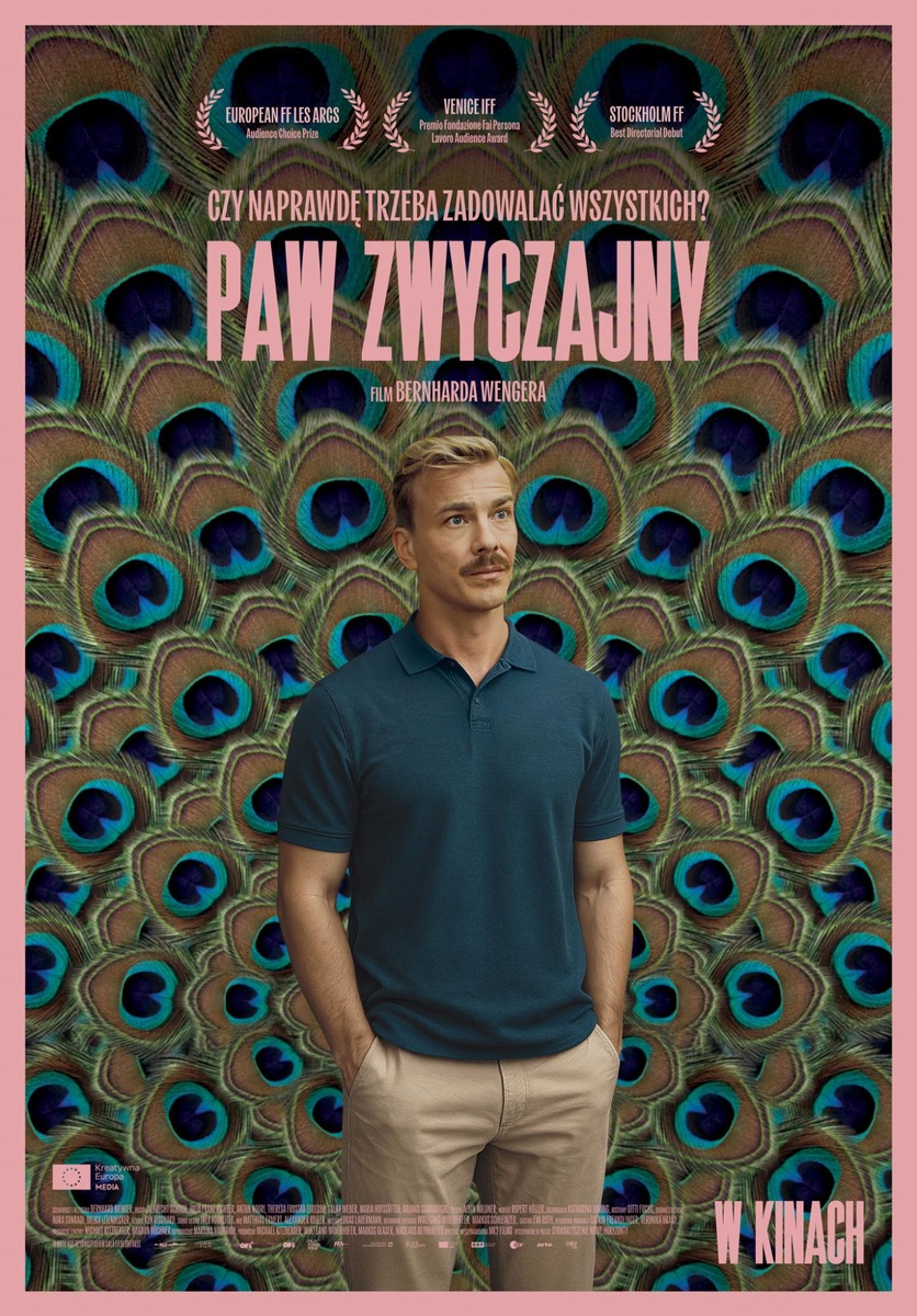 DKF – “Paw zwyczajny”